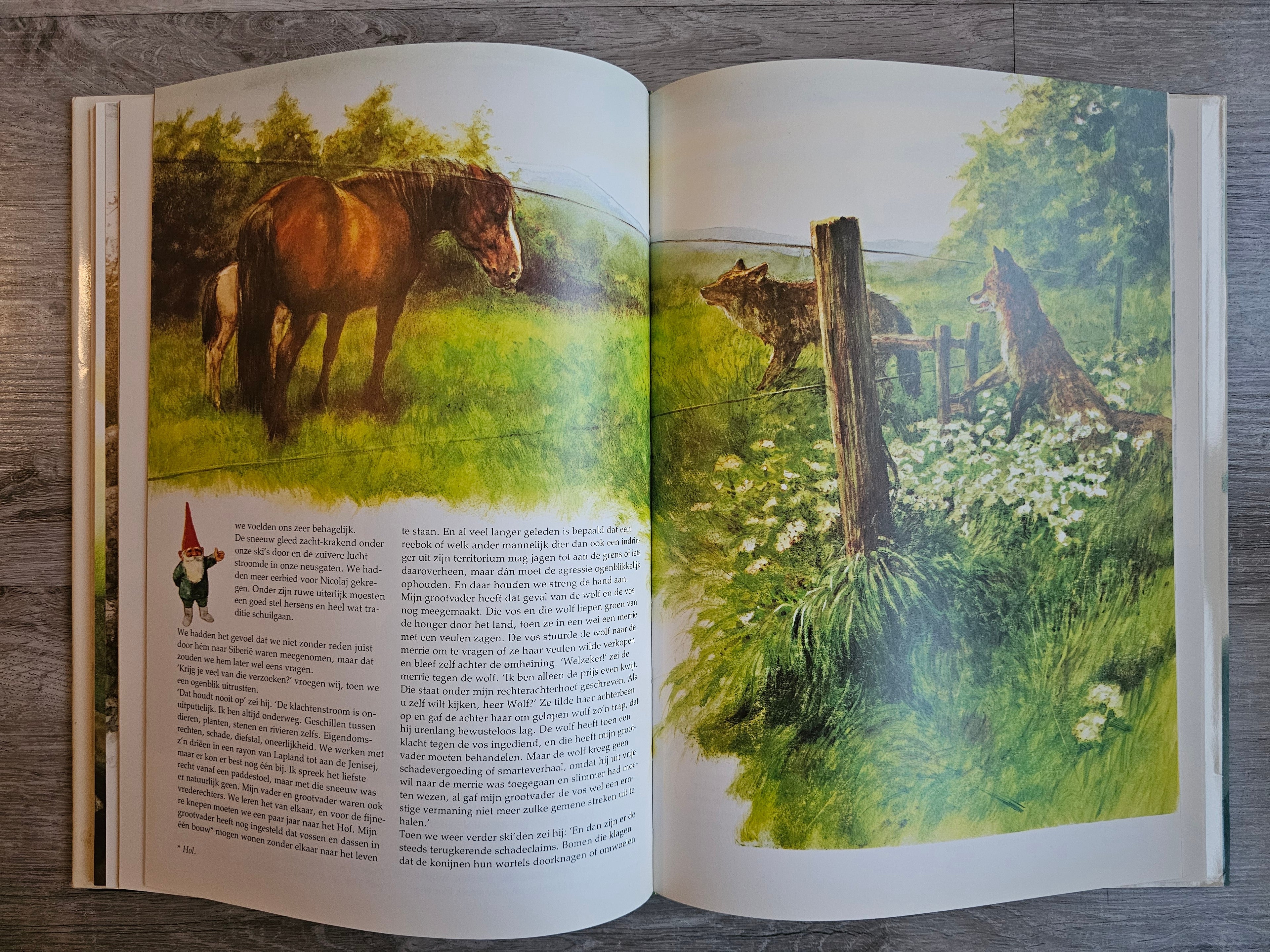 De Oproep der Kabouters hardcover | Rien Poortvliet boek