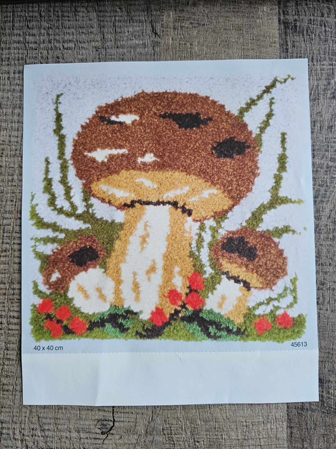 Knoopkussen 40 x 40 cm Paddenstoel