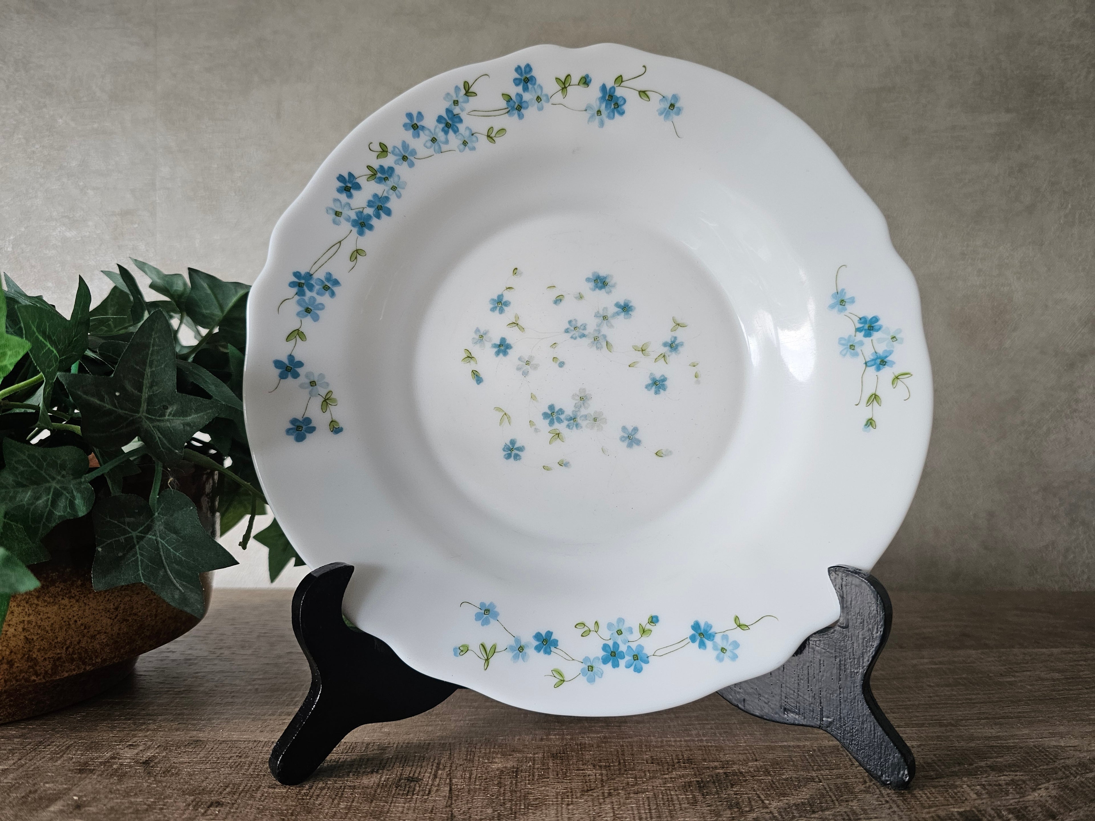 Vintage Arcopal Veronica diepe borden met blauwe bloemetjes (Myosotis)