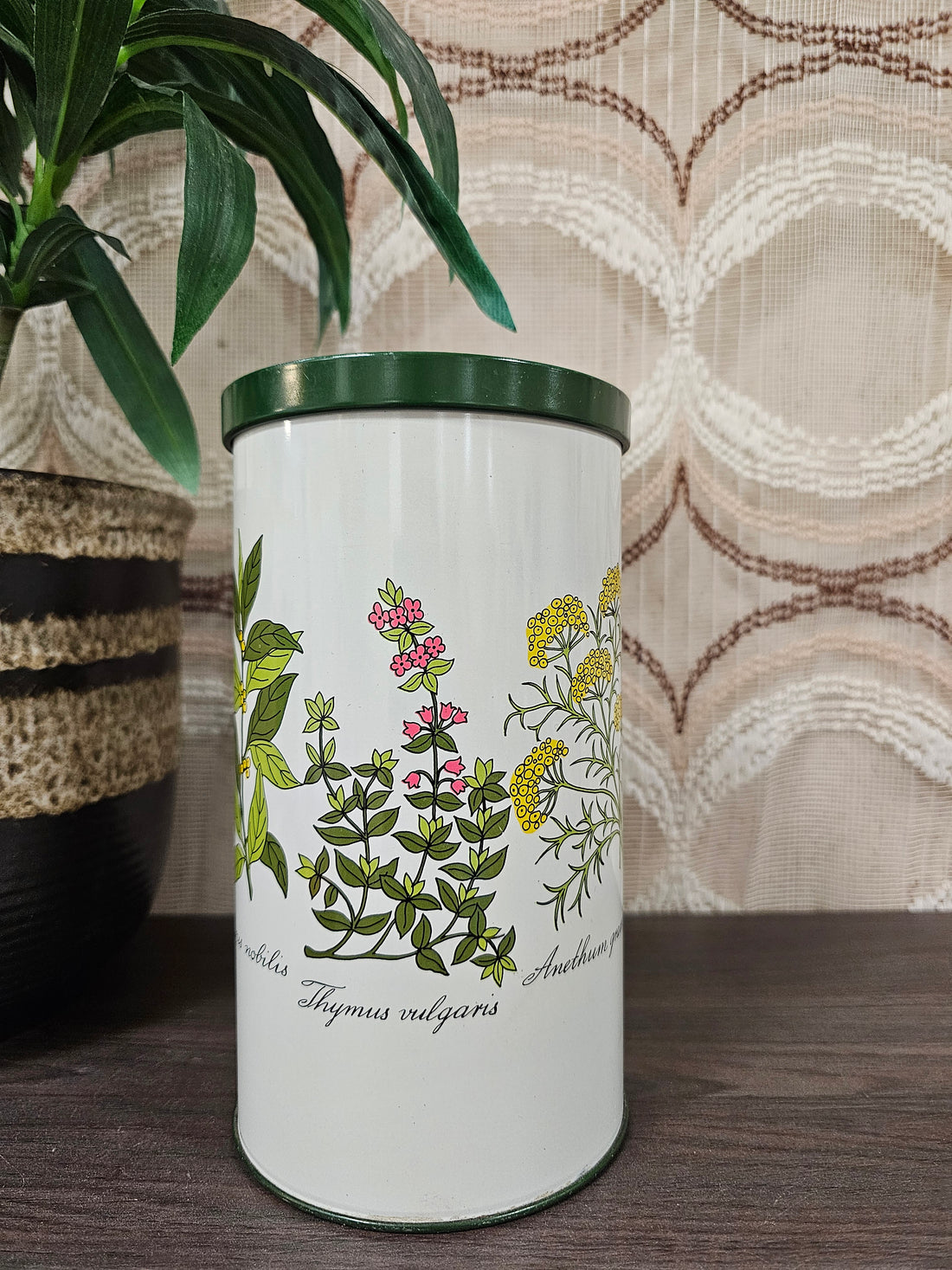 Vintage beschuitblik met illustraties van planten en een groene deksel.