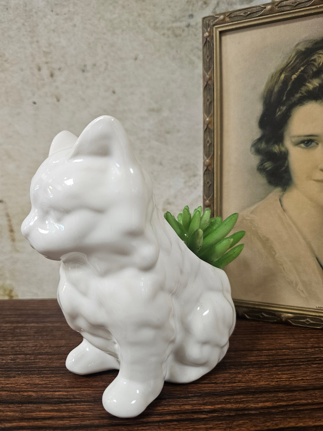 Vintage bloempotje kat