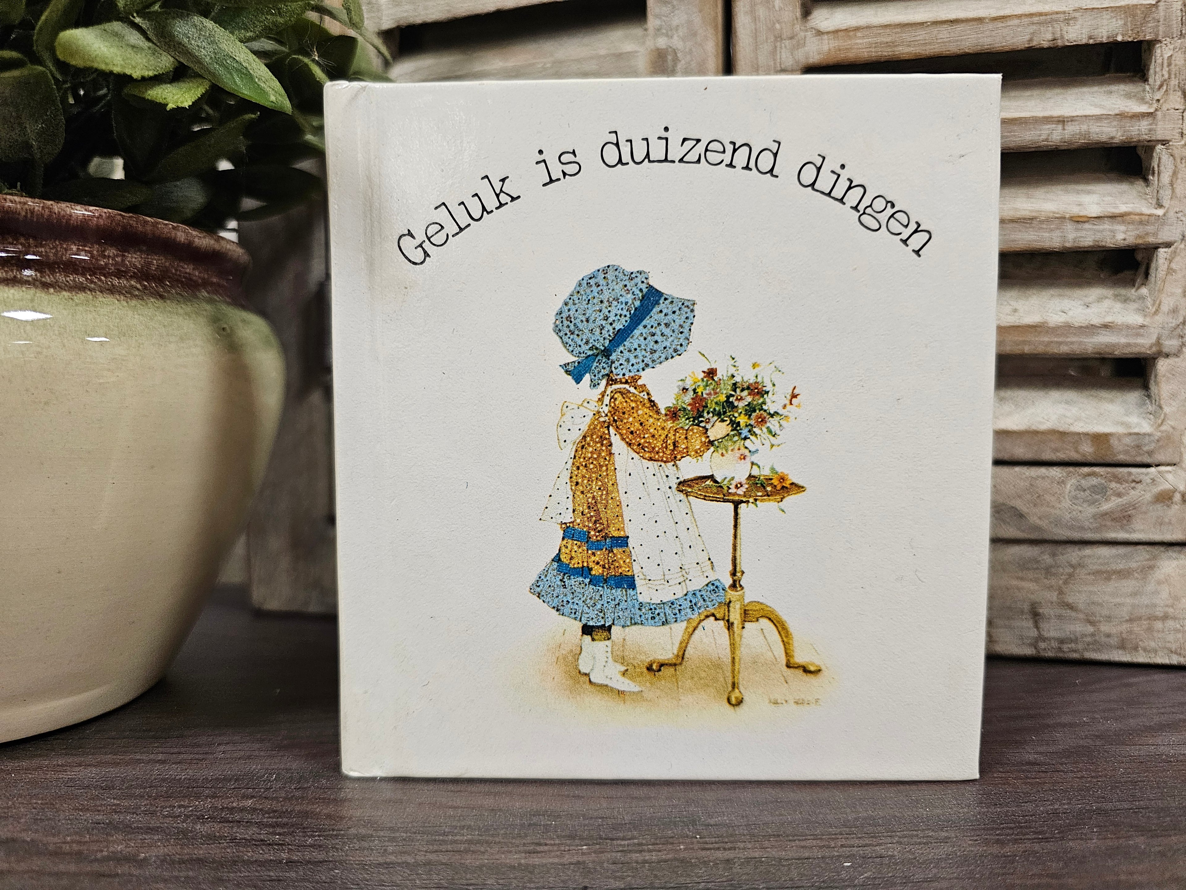 Vintage boekje Holly Hobbie "geluk is duizend dingen"