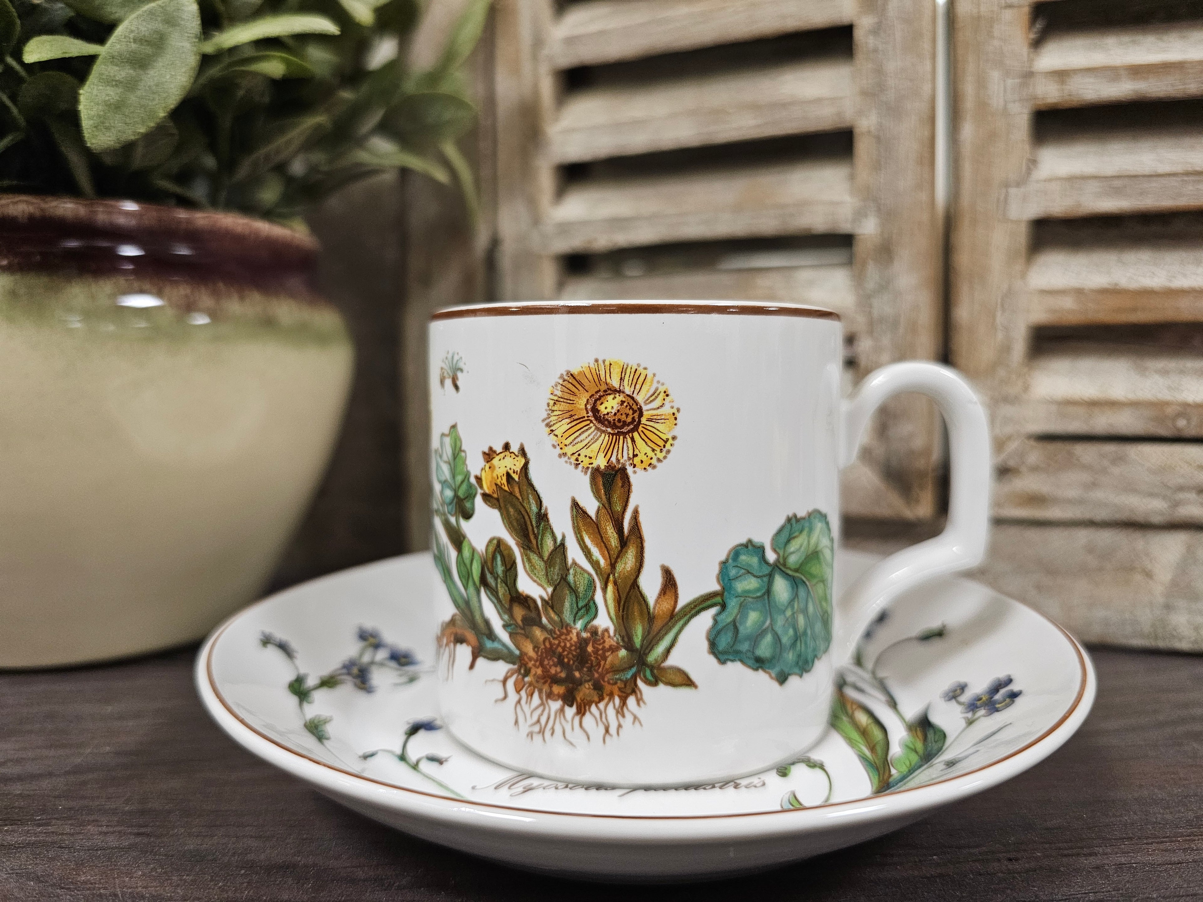 Vintage Villeroy Boch Botanica kop en schotel