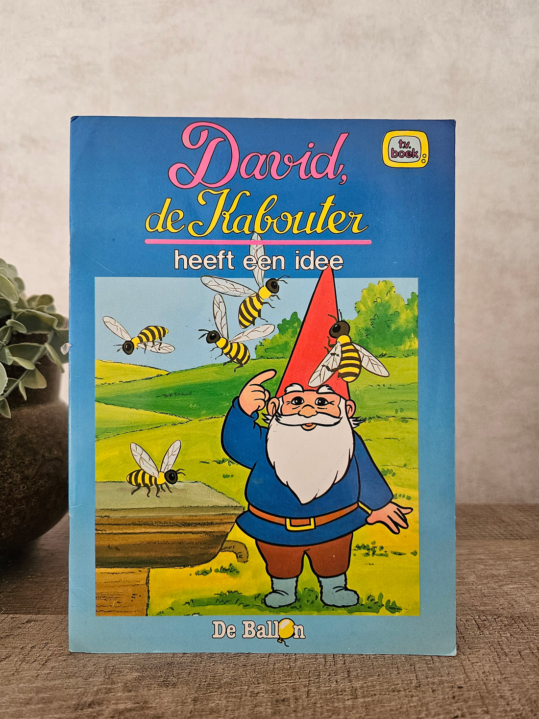 David de kabouter heeft een idee