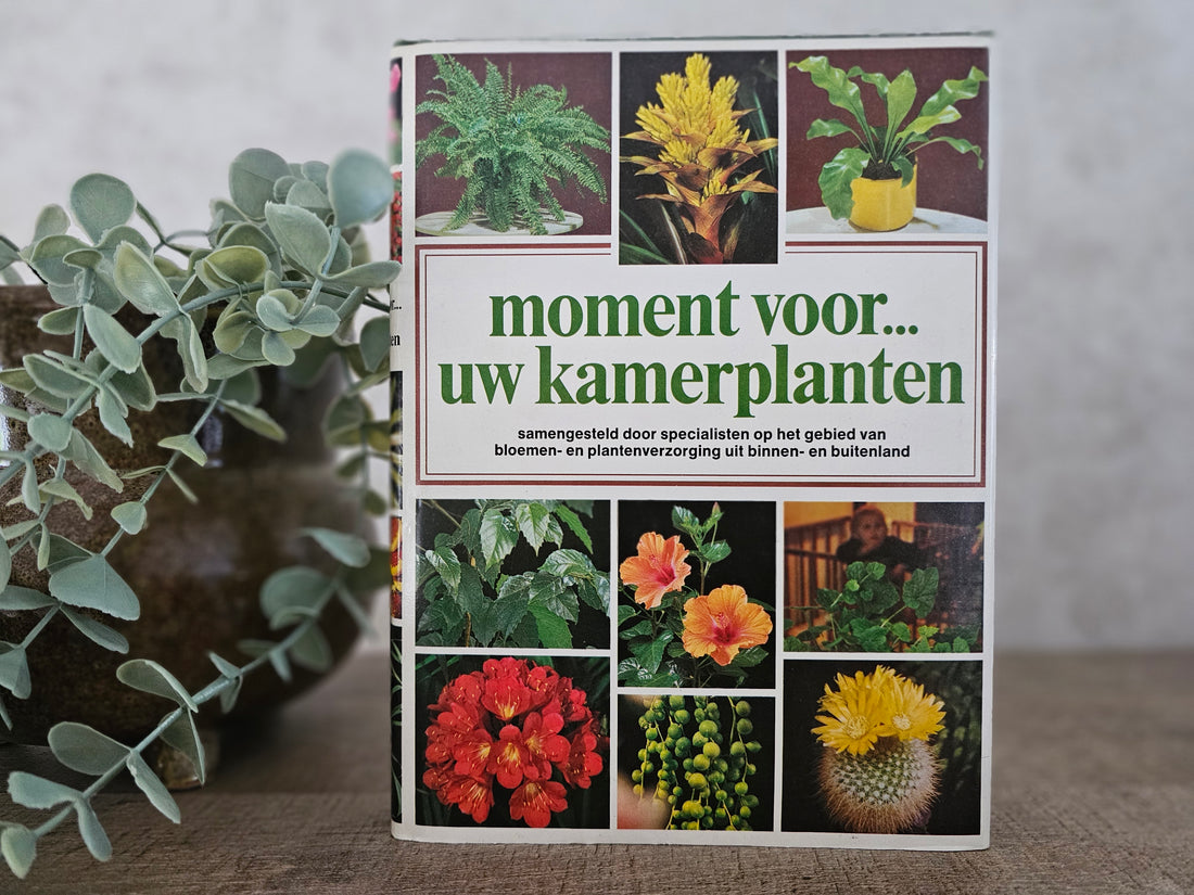 Douwe Egberts een moment voor uw kamerplanten