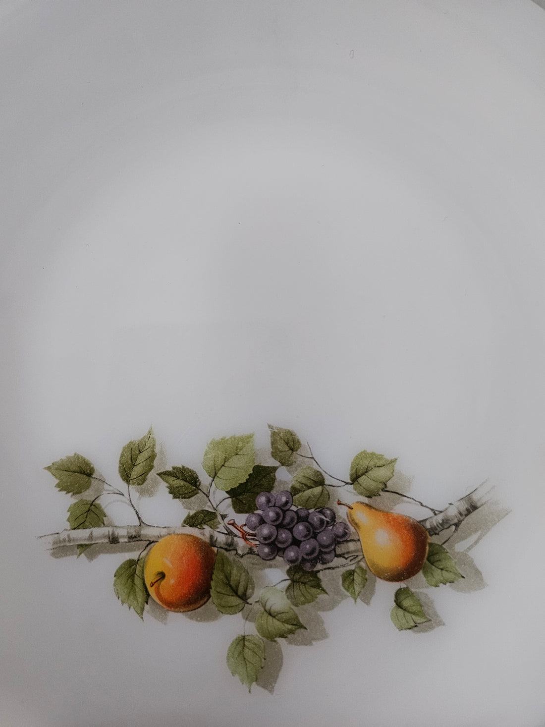 Arcopal Fruit de France diner borden