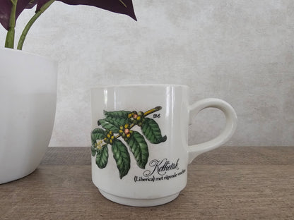 Villeroy Boch Douwe Egberts koffie mokken Botanica — koffiebloesem