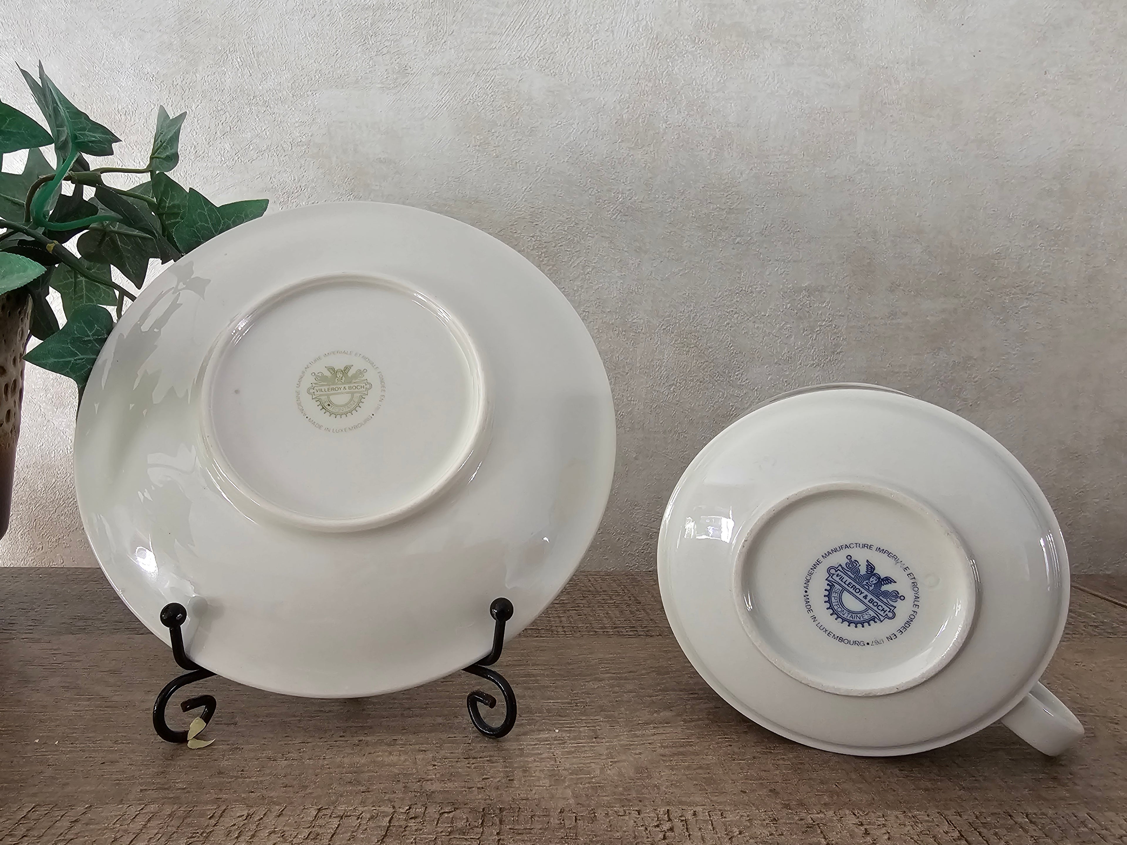 Villeroy Boch kop en schotel Royco