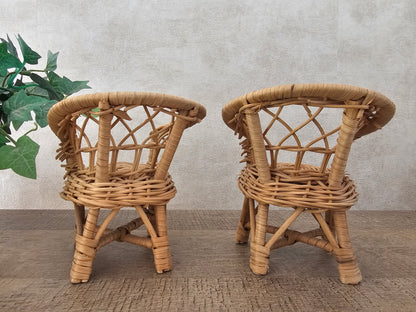 Barbie Fleur rotan set stoelen + tafel