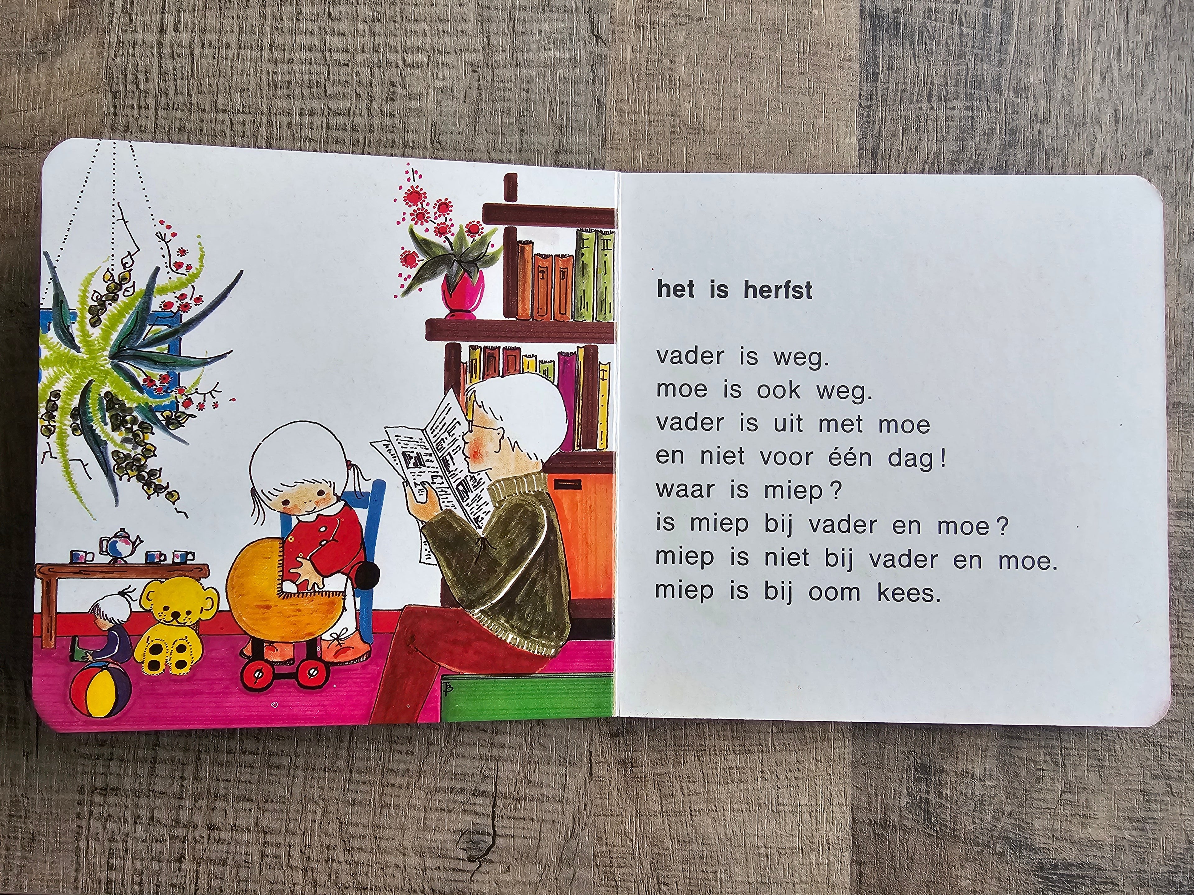 Botjes boek nr 9 Het is herfst