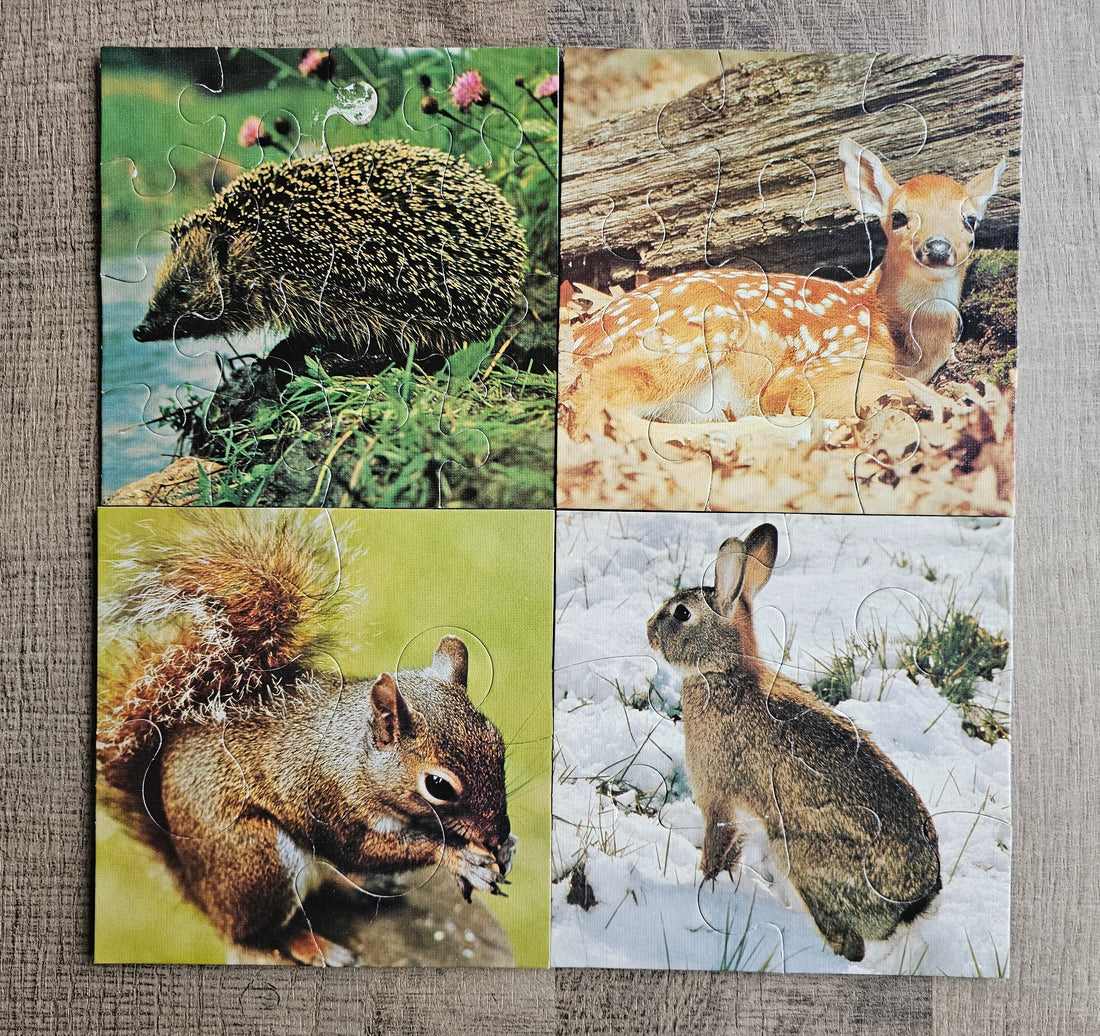 Jumbo dieren puzzels