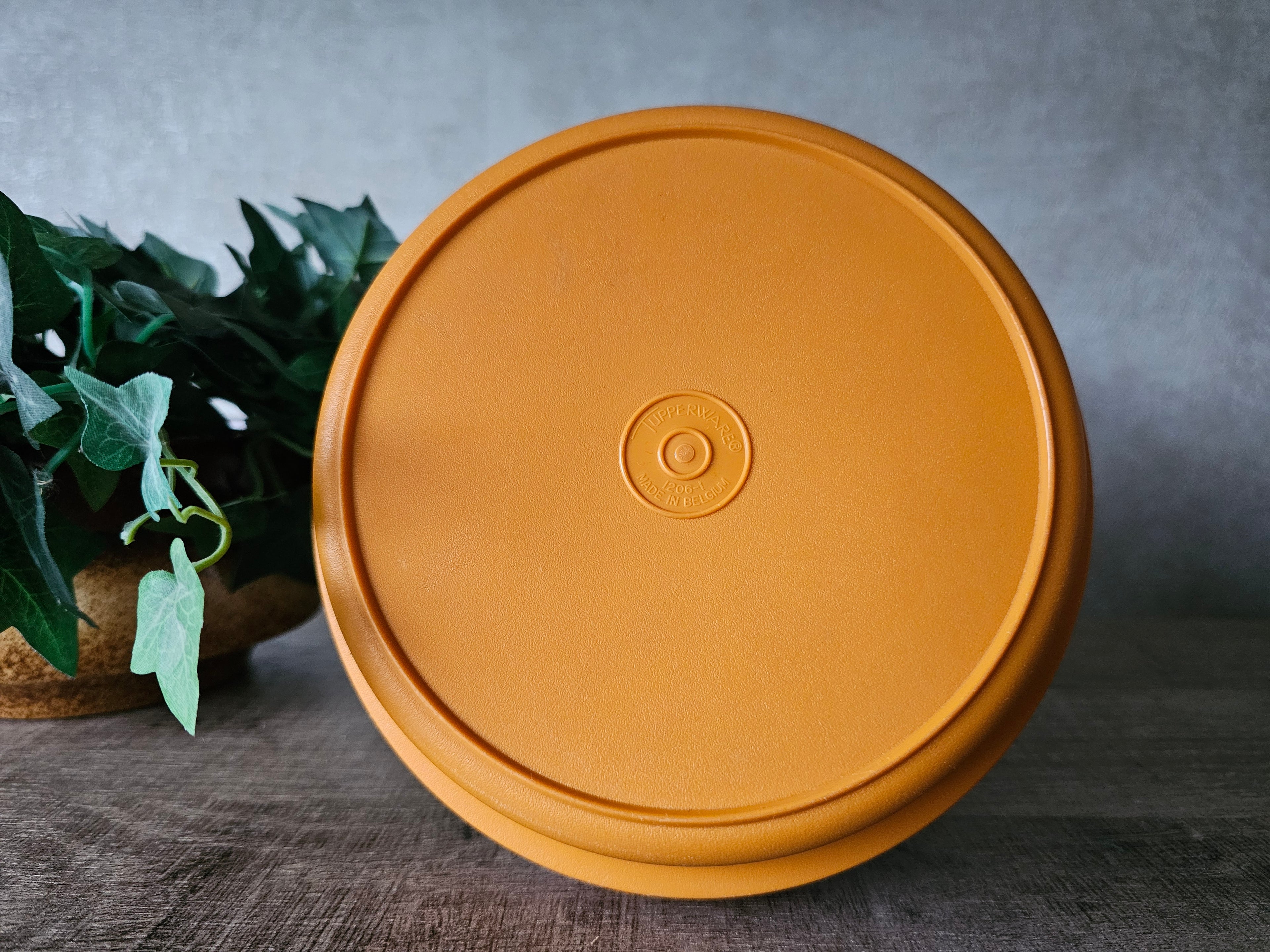 Tupperware oranje (koek) trommel