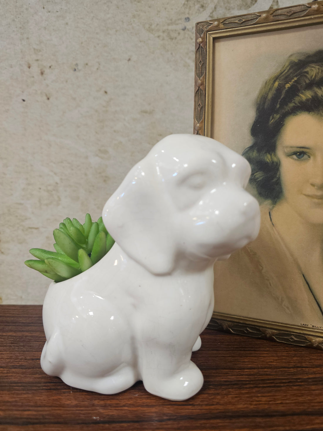 Bloempot wit hondje