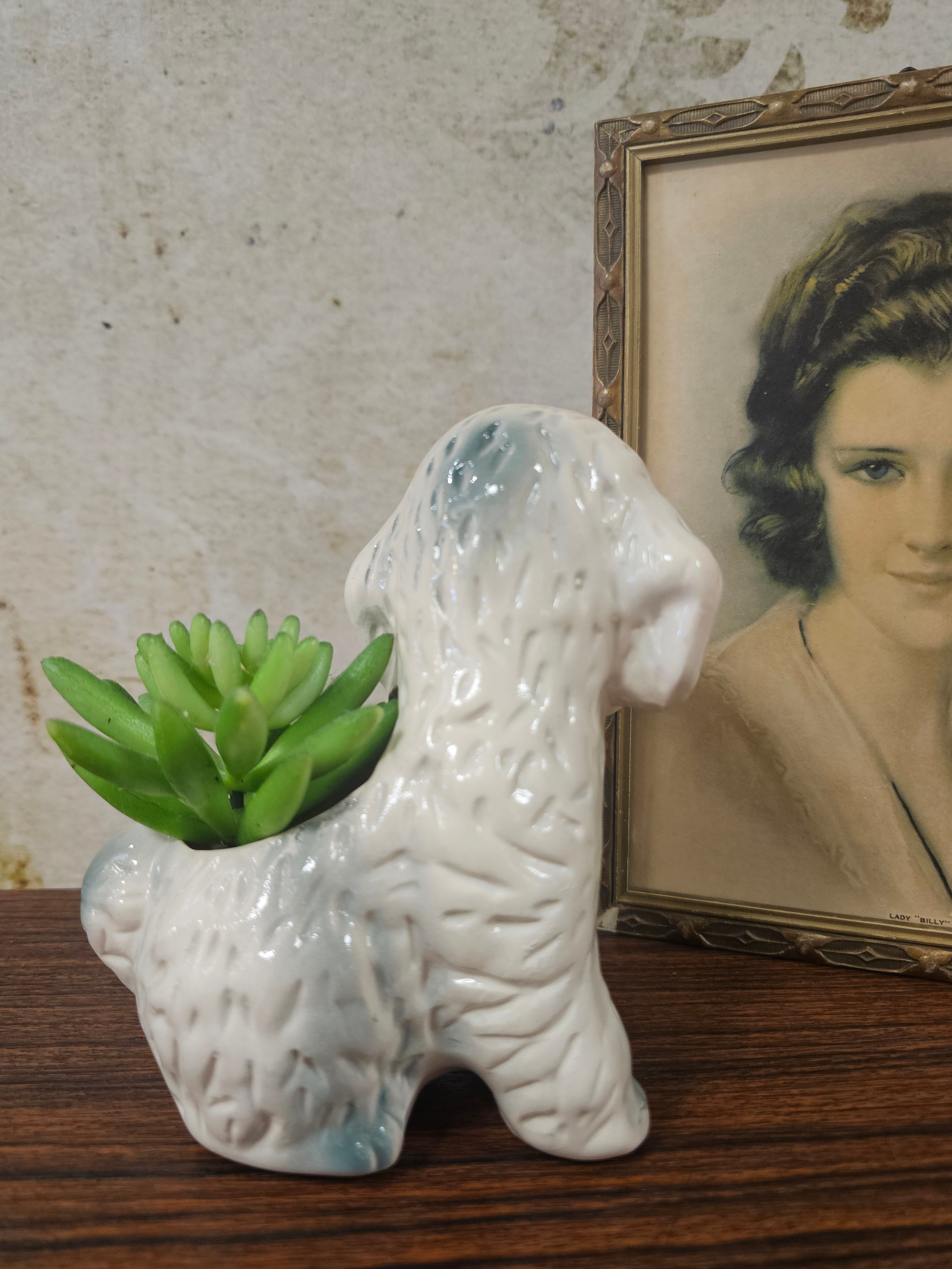 Bloempot poedel