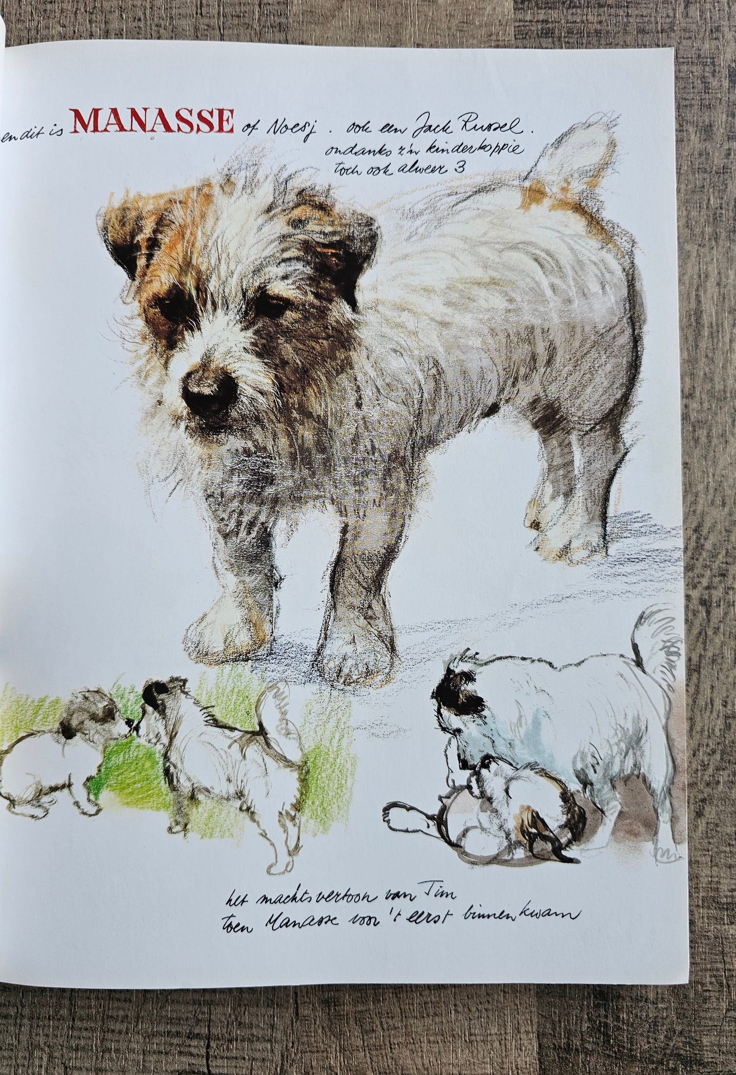 Rien Poortvliet Braaf (softcover)