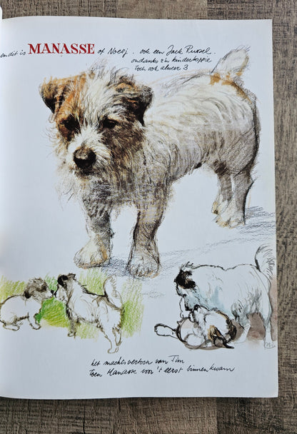Rien Poortvliet Braaf (softcover)