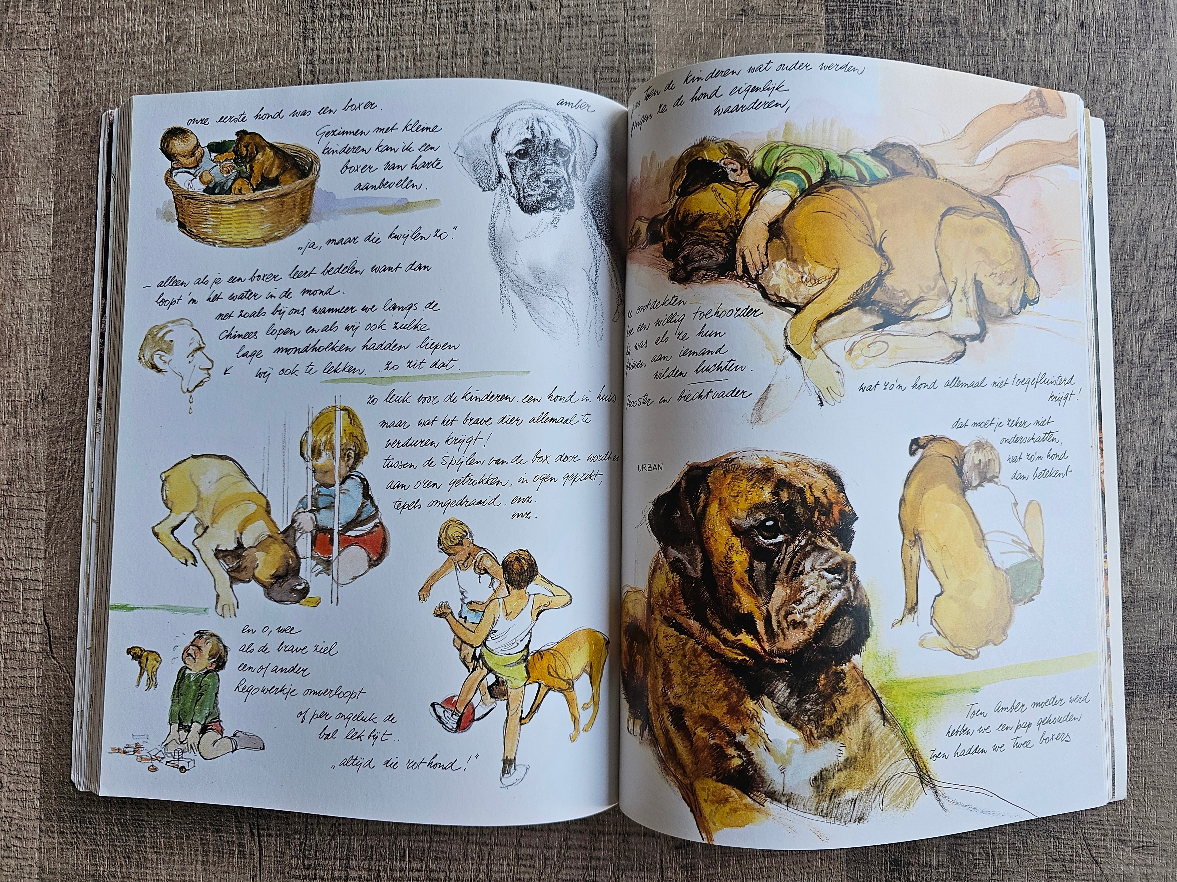Rien Poortvliet Braaf (softcover)