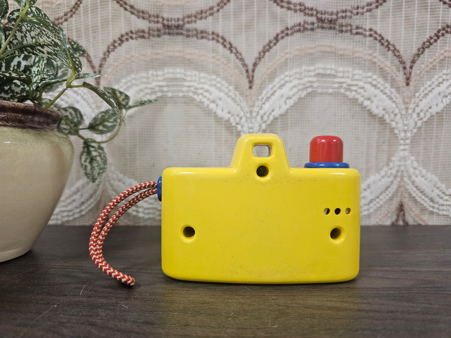 Ambi Toys camera