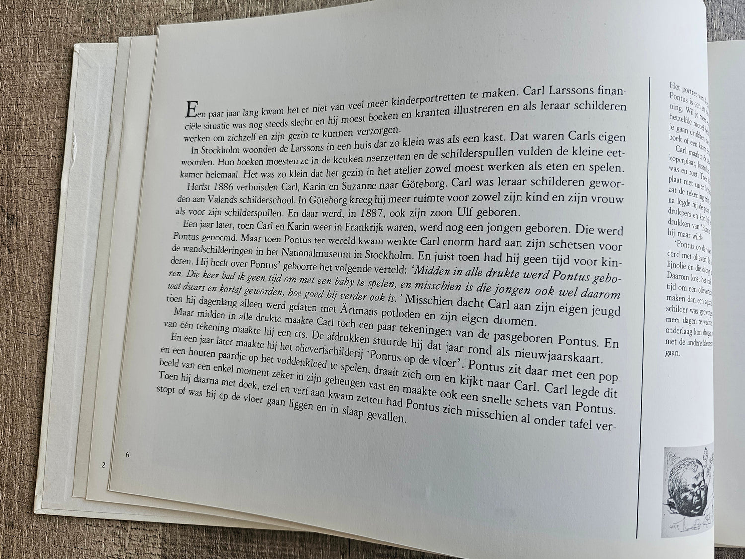 Carl Larsson ons gezin Bruna prentenboek