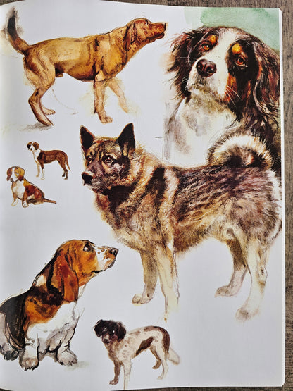 Rien Poortvliet Braaf Hardcover