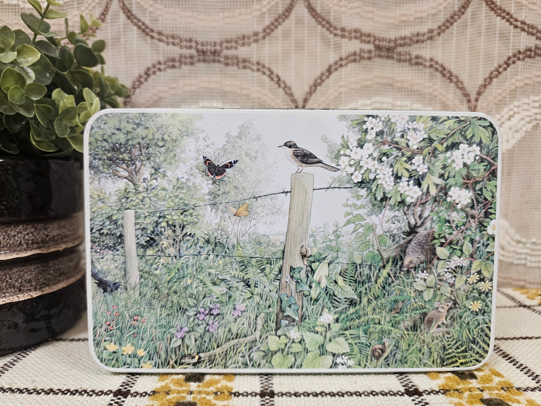 Verkade Zaandam blik herfst