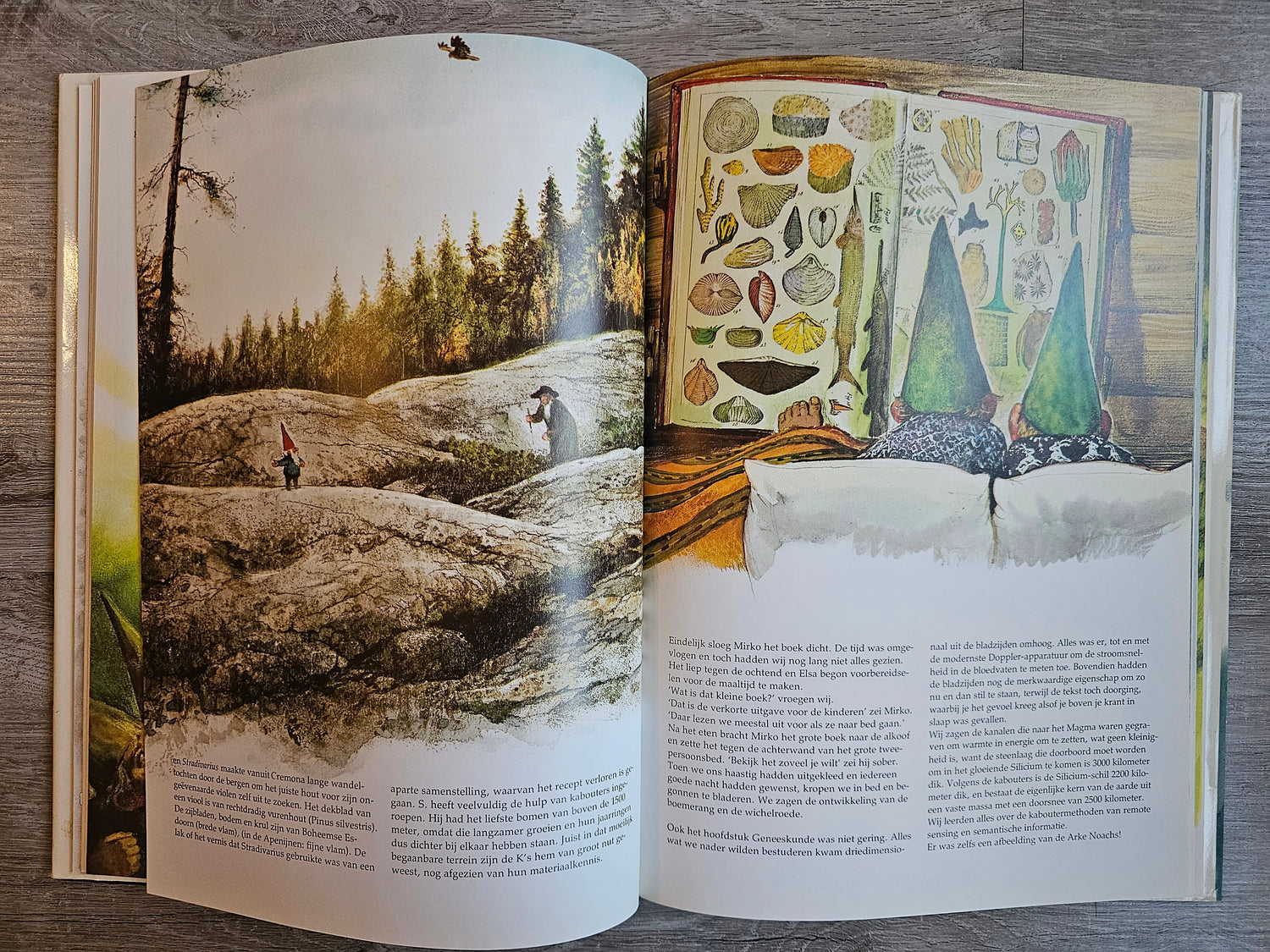 De Oproep der Kabouters hardcover | Rien Poortvliet boek