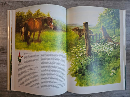 De Oproep der Kabouters hardcover | Rien Poortvliet boek