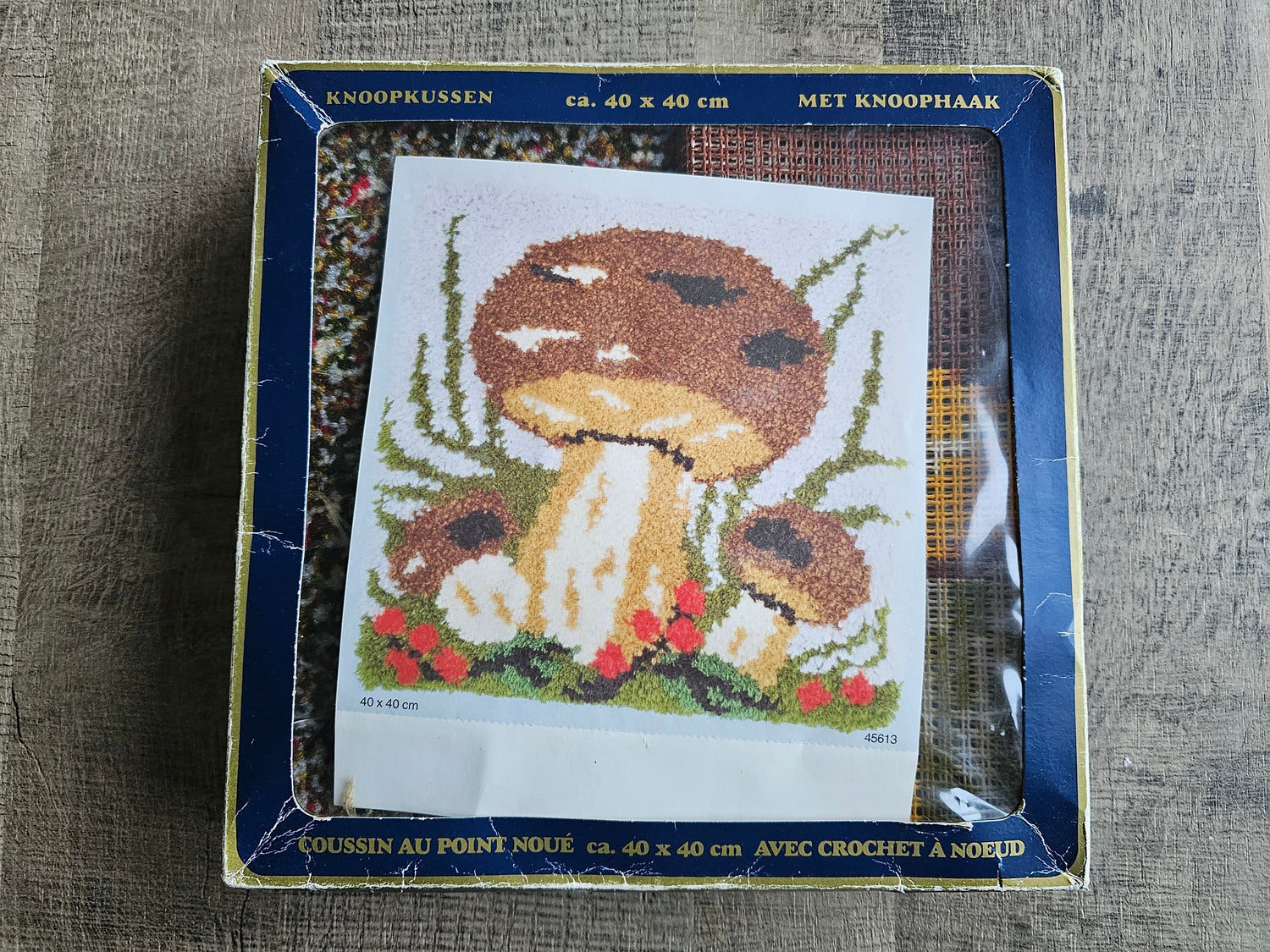 Knoopkussen 40 x 40 cm Paddenstoel