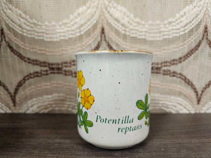Vintage Becel mok Potentilla reptans – Made in England