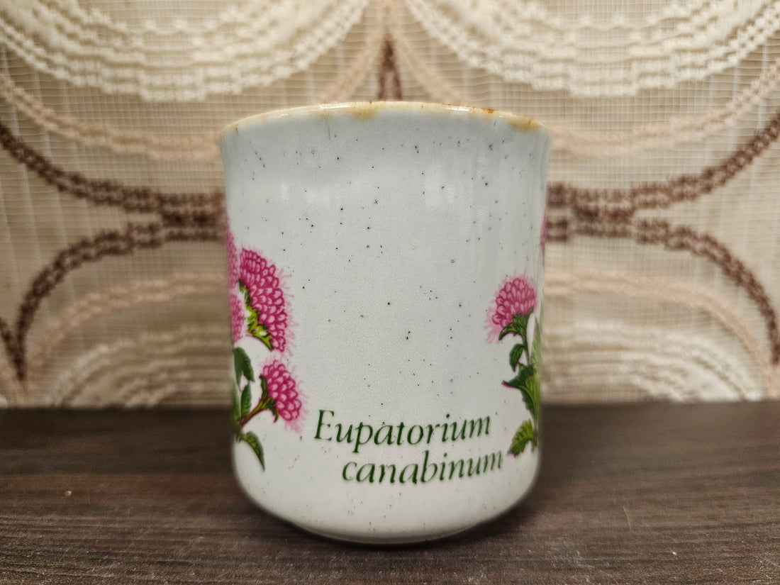 Vintage Becel mok Eupatorium canabinum – Made in England