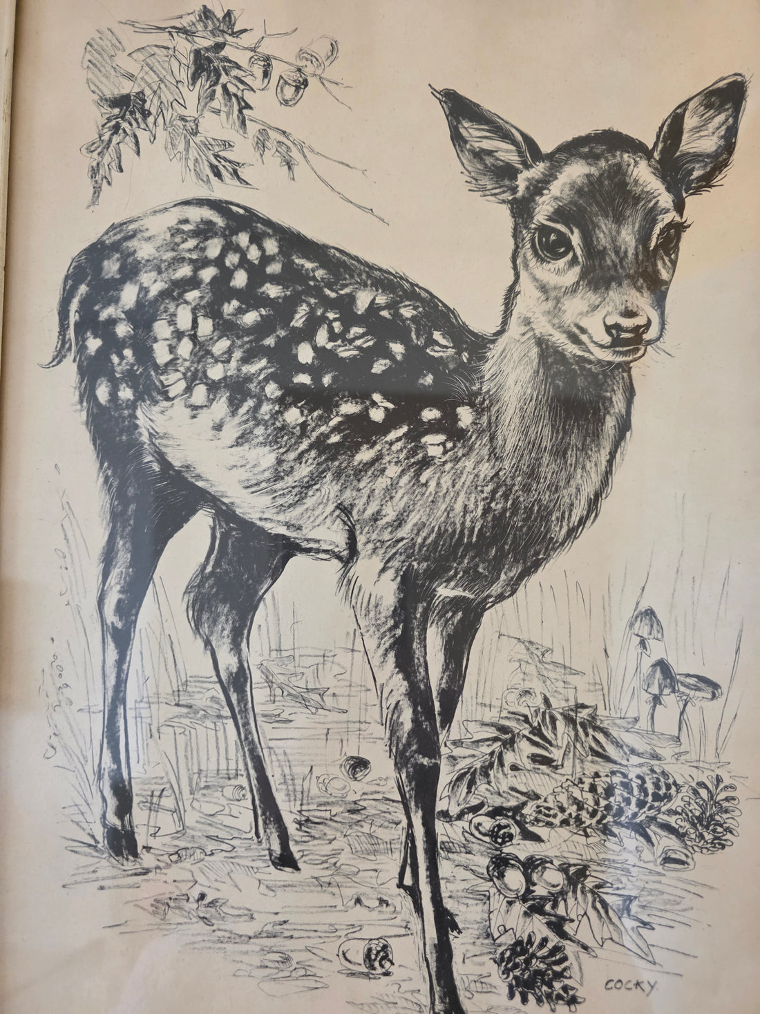 Vintage prent hertje in lijst – Cocky 25,5 x 35,5 cm