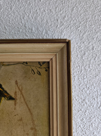 Hummel prentje ingelijst 24 x 34 cm