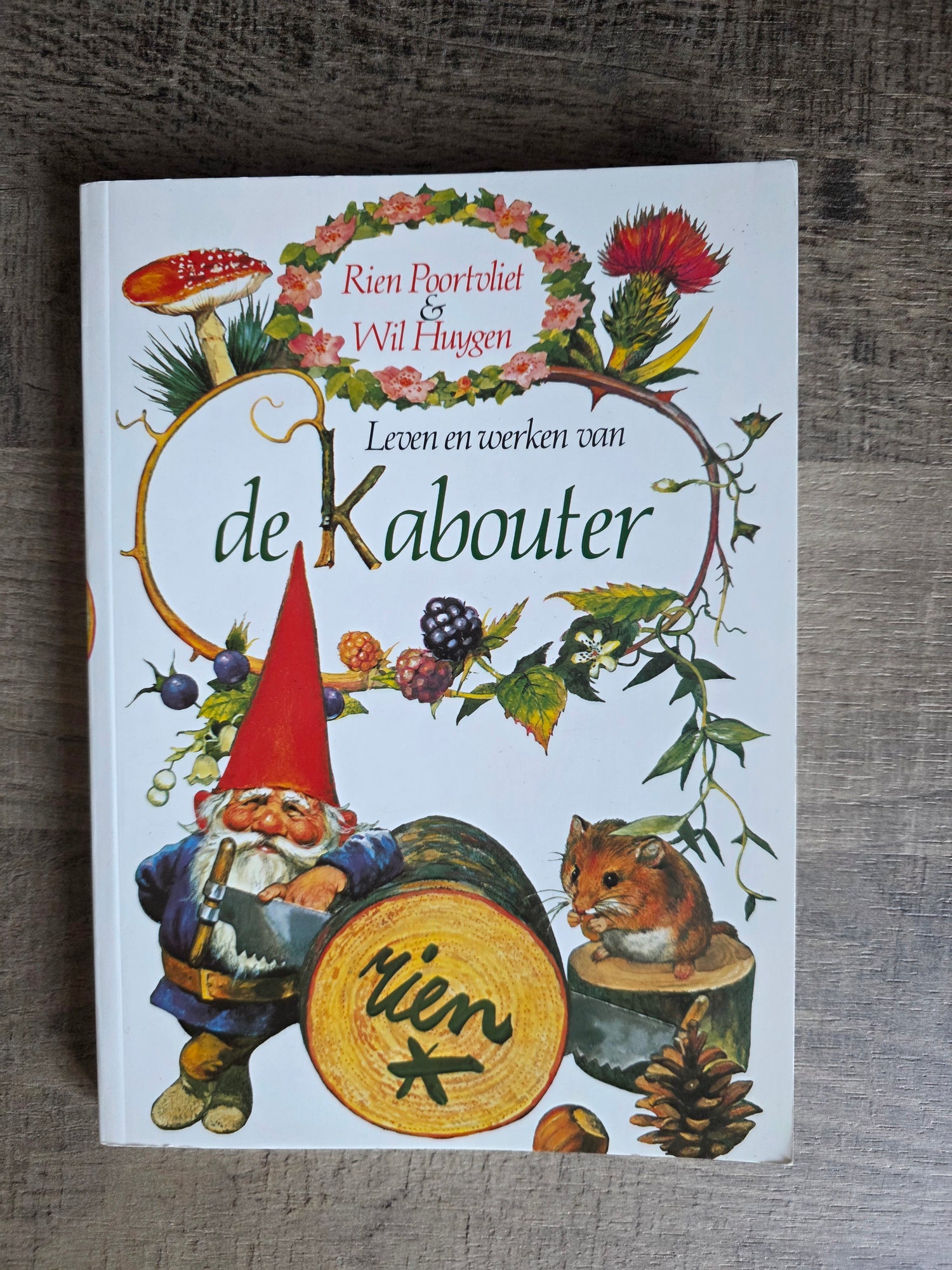 Rien Poortvliet Het leven en werken van de kabouter paperback