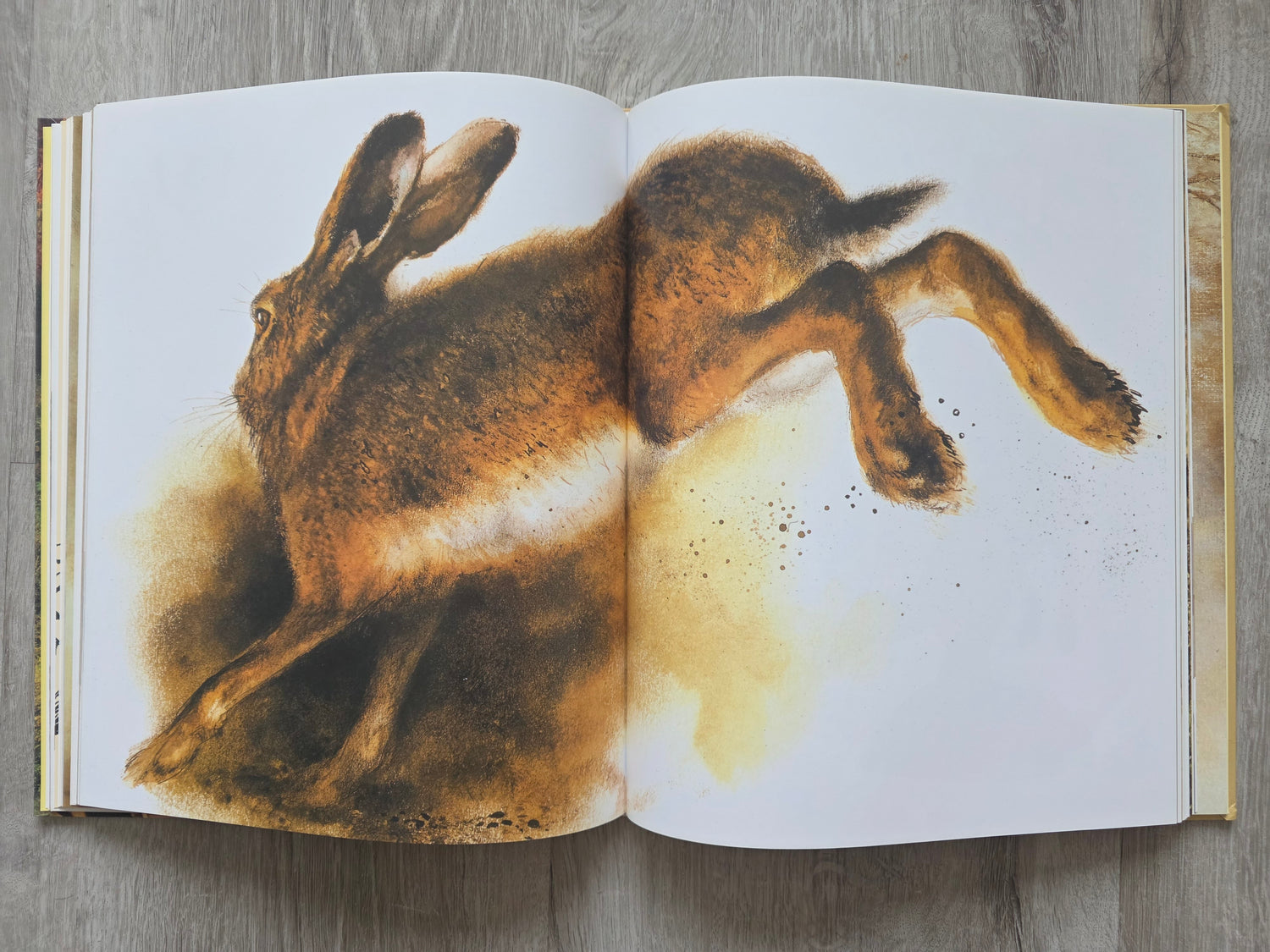 Boek De wereld van Rien Poortvliet