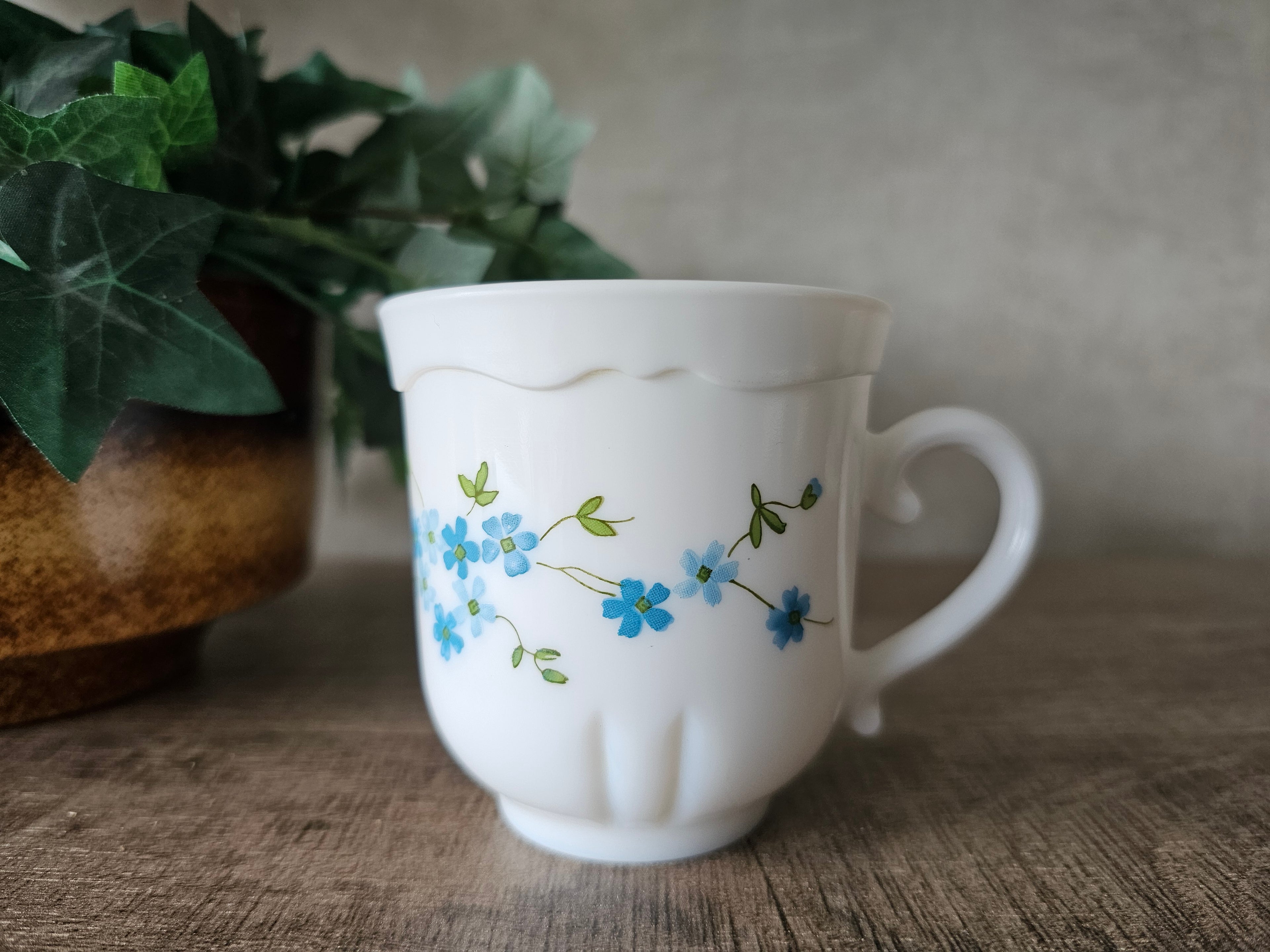 Arcopal Mysostis kop