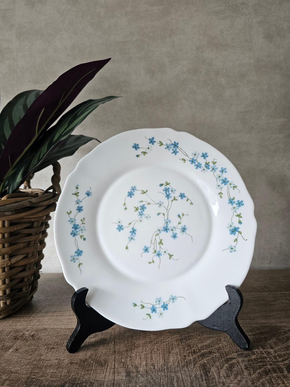 Vintage Arcopal Veronica diner borden. witte borden met kleine blauwe bloemetjes