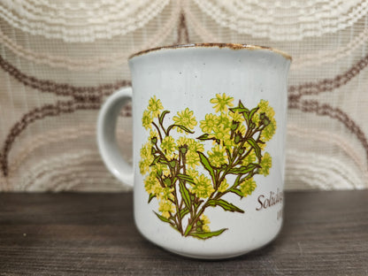 Vintage Becel mok met Solidago virgaurea bloem, Made in England