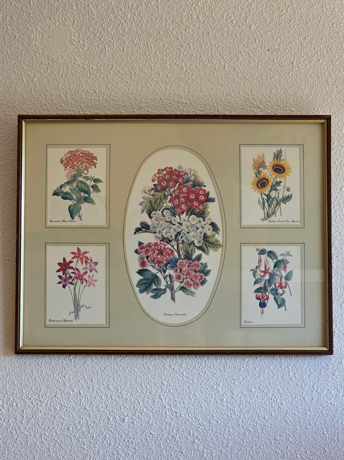 Ingelijste botanische bloemenprent met een centraal boeket en vier kleinere bloemillustraties