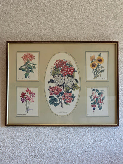 Ingelijste botanische bloemenprent met een centraal boeket en vier kleinere bloemillustraties