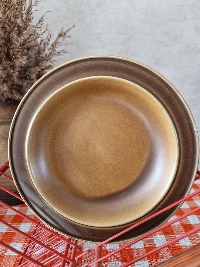 Vintage bruine Ironstone celtic "Kerry" vintage borden