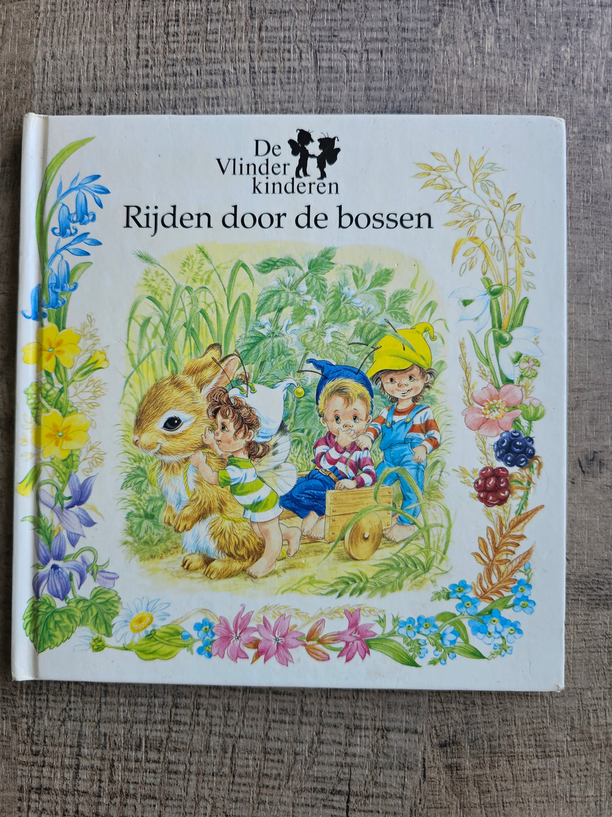 De vlinderkinderen Rijden door de bossen